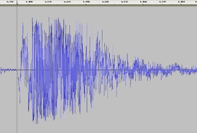 An unclipped proper recording will look like this.  All the amplitude (volume) information is preserved.  In this wave, it is easy to see when the main valve opened.  Audio is the 3 gallon QDV.  The pre trigger noise is mechanical rod movement.  A pro Studio Dynamic mic was used to make the recording, not a condenser mic.