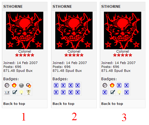 badgesamples2.PNG