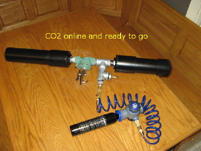 armed.jpg