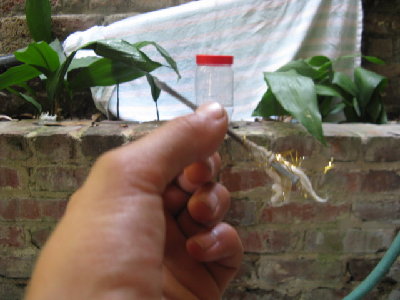 I shot this dart through both sides of a peanut-butter jar filled with water, and it continued through the towel backstop and embedded itself into the brick wall behind the towel!!! Needless to say, it got pretty screwed up in the process.
