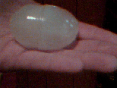 Ice Slug.
