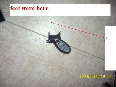 stungun001.jpg