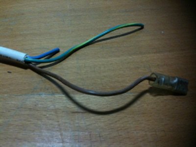 Plug's wires