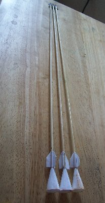 100_1778.JPG