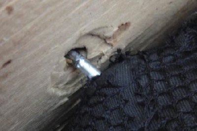 6-2-10 DART IMPRESSION IN WOOD WEB.JPG
