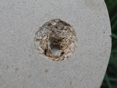 exit hole.JPG (118.39 KiB) Viewed 2952 times Test shot @ 23mm MDF