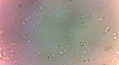 filter 3