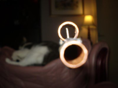 sight2 w/ cat