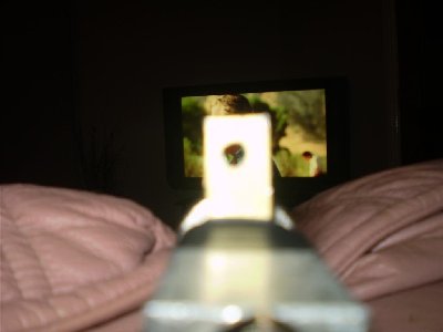 rearsights