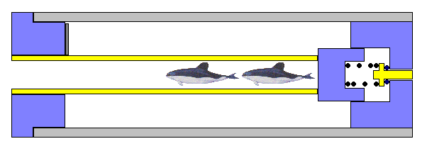 dualporpoisecartridge.PNG