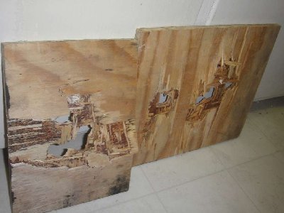 34plywood.JPG