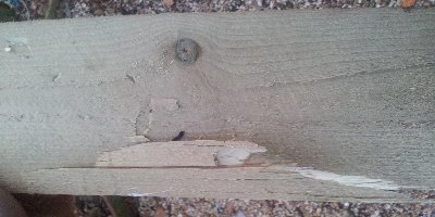 20121129_155926.jpg