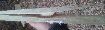 20121129_155922.jpg