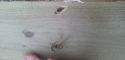 20121129_155917.jpg
