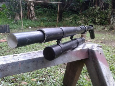 the whole gun