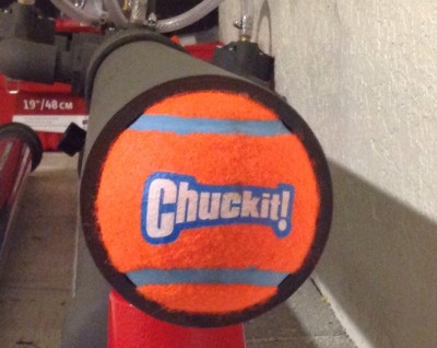 Edit...I just found out Large size Chuckit! Tennis balls fit 3&quot; sch 40 perfect.