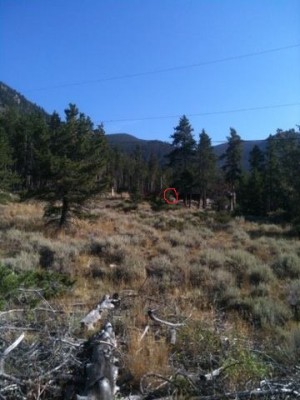View from target