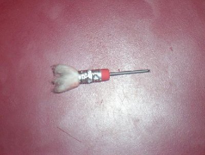 the dart
