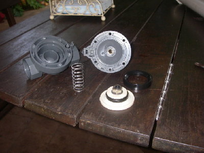 The contents of the valve (after the mod)