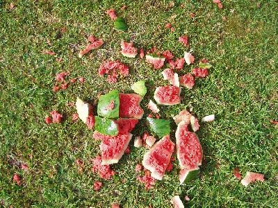 The bits of the Melon I could find.