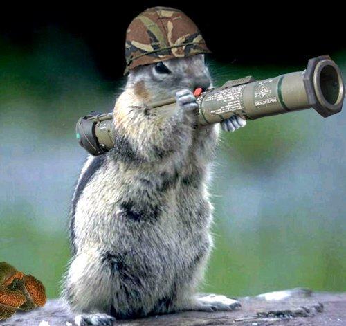 Gopher is Mad!!!