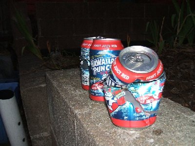 Steel BB buckshot, tore through 3 soda cans in a row and all were embedded in my fence.