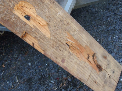 Back of plank.