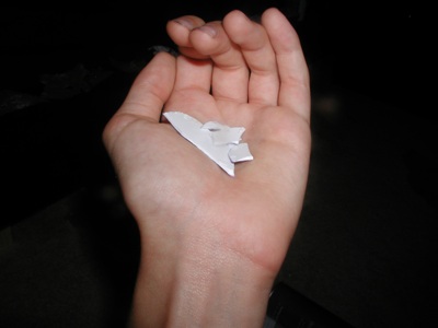 shards,but i dont know what part of the gun they came from.