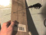 hunting dart