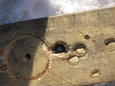 marble in the 2 by 4 (about 1&amp;quot; deep)