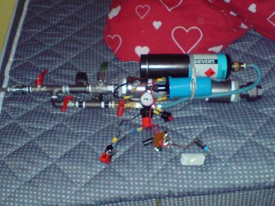 the whole gun