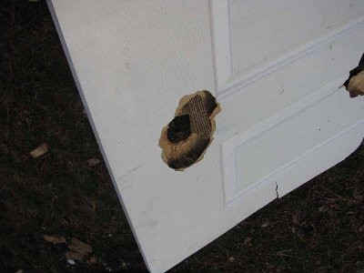 Door.jpg