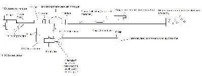 my snipers gun thing lolololol.jpg